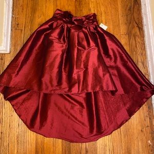 Hi-Low Pleated Skirt